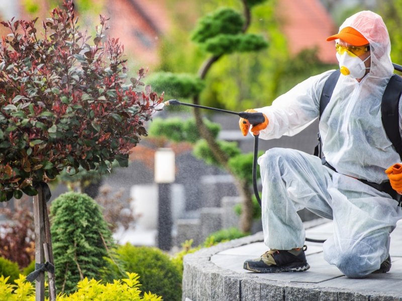 İmamoğlu Haşere İlaçlama